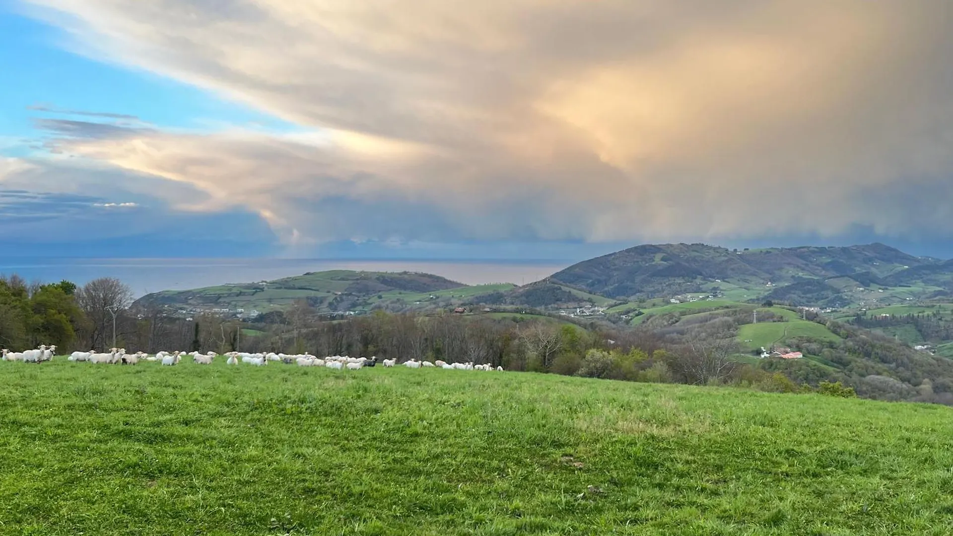 Caserio Bizkar Aia Villa